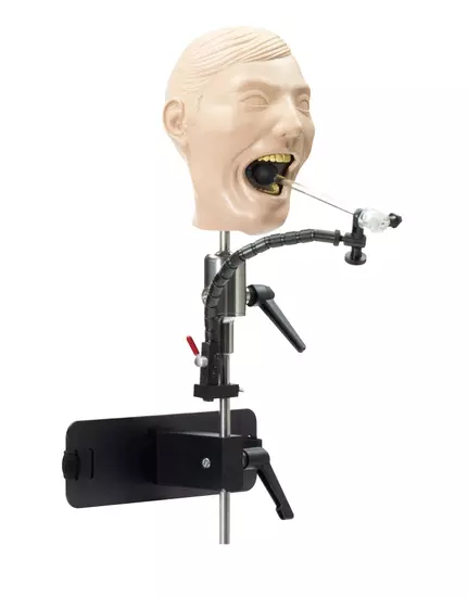 1974 Radio-Opaque Jaw Manikin with MQD Trays, Sliding Clamp and M-1R-7 Chair Mount