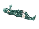 Child Full Body Imaging Phantom, for X-Ray CT, Ultrasound
